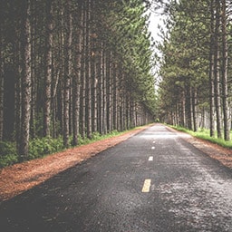 Road Trip